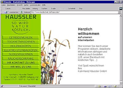 Projekt H�ussler